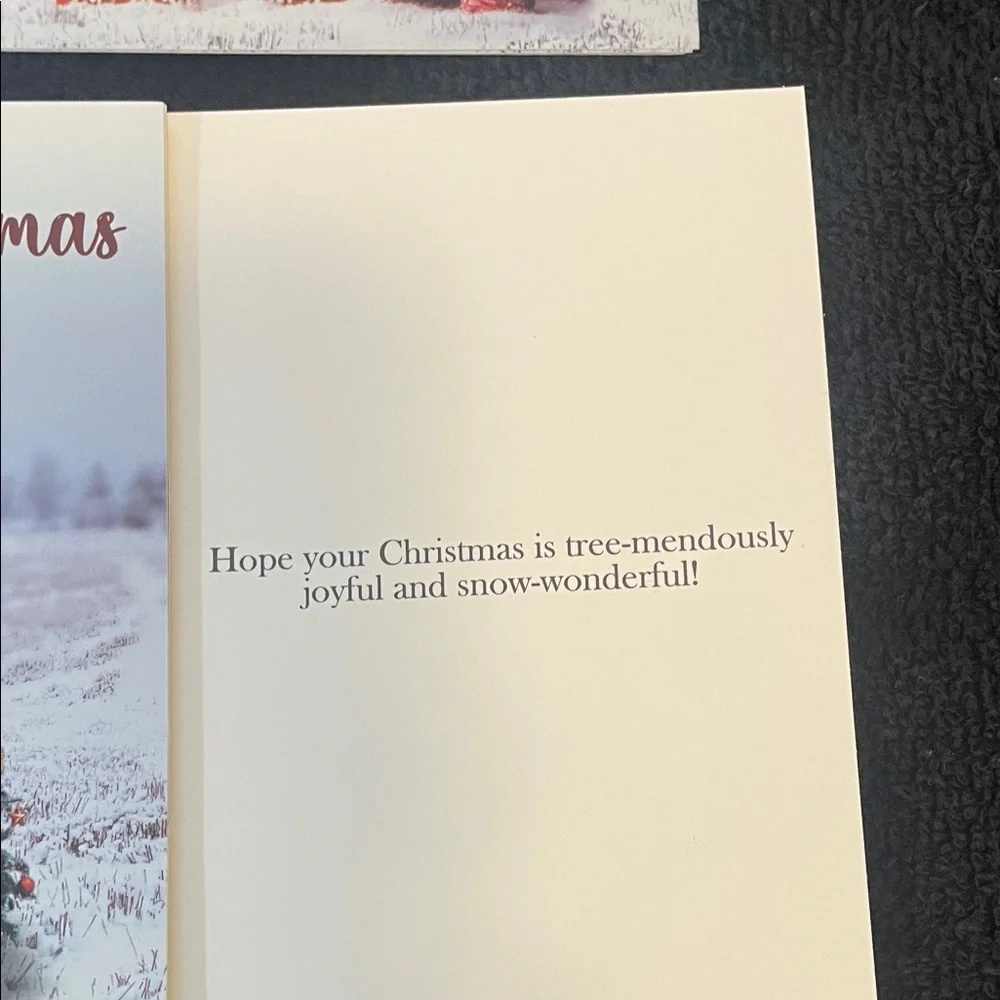 Holiday Greeting Cards Set of 24 nwt in box 4 designs